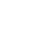 magnifying icon